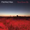 Petrified Max - Year Gone By