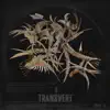 Fake Fangz - Transvert EP